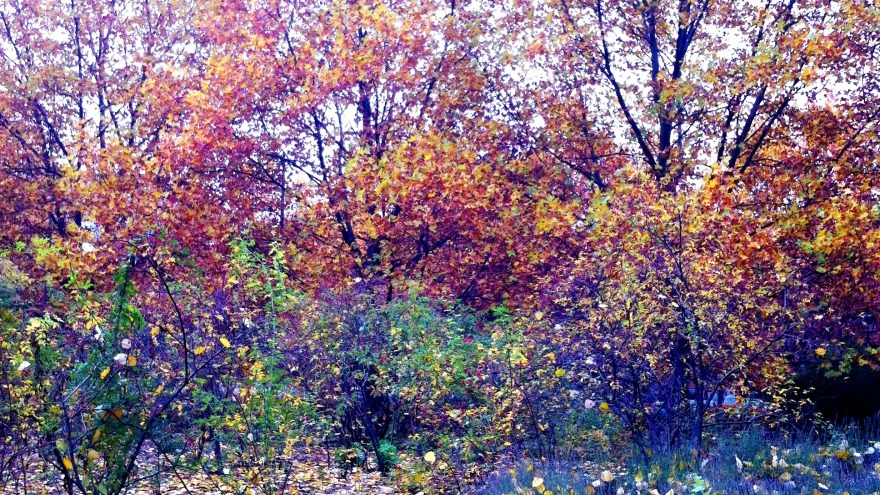 Herbst in Berlin Herbst in Berlin